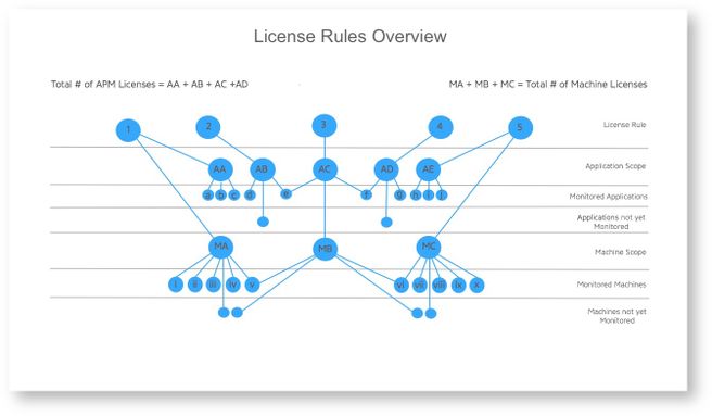 License Rules Overview.jpeg