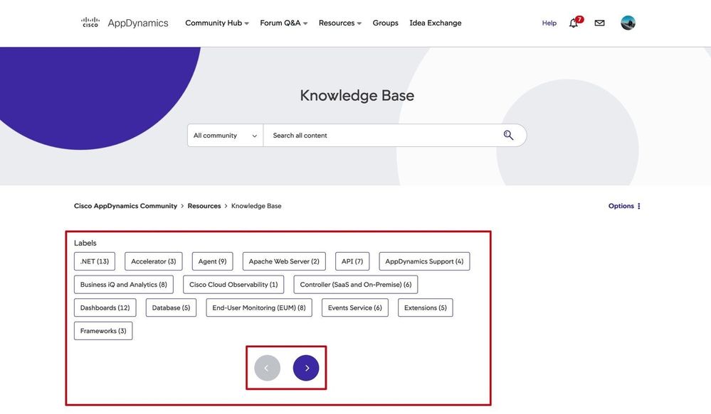 A screenshot showing Knowledge Base Labels