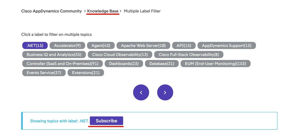 Knowledge Base Label selection page