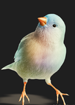 MyBird_333.PNG