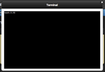 terminalOnBrowser.png